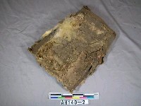 藏品(護胸器具)的圖片